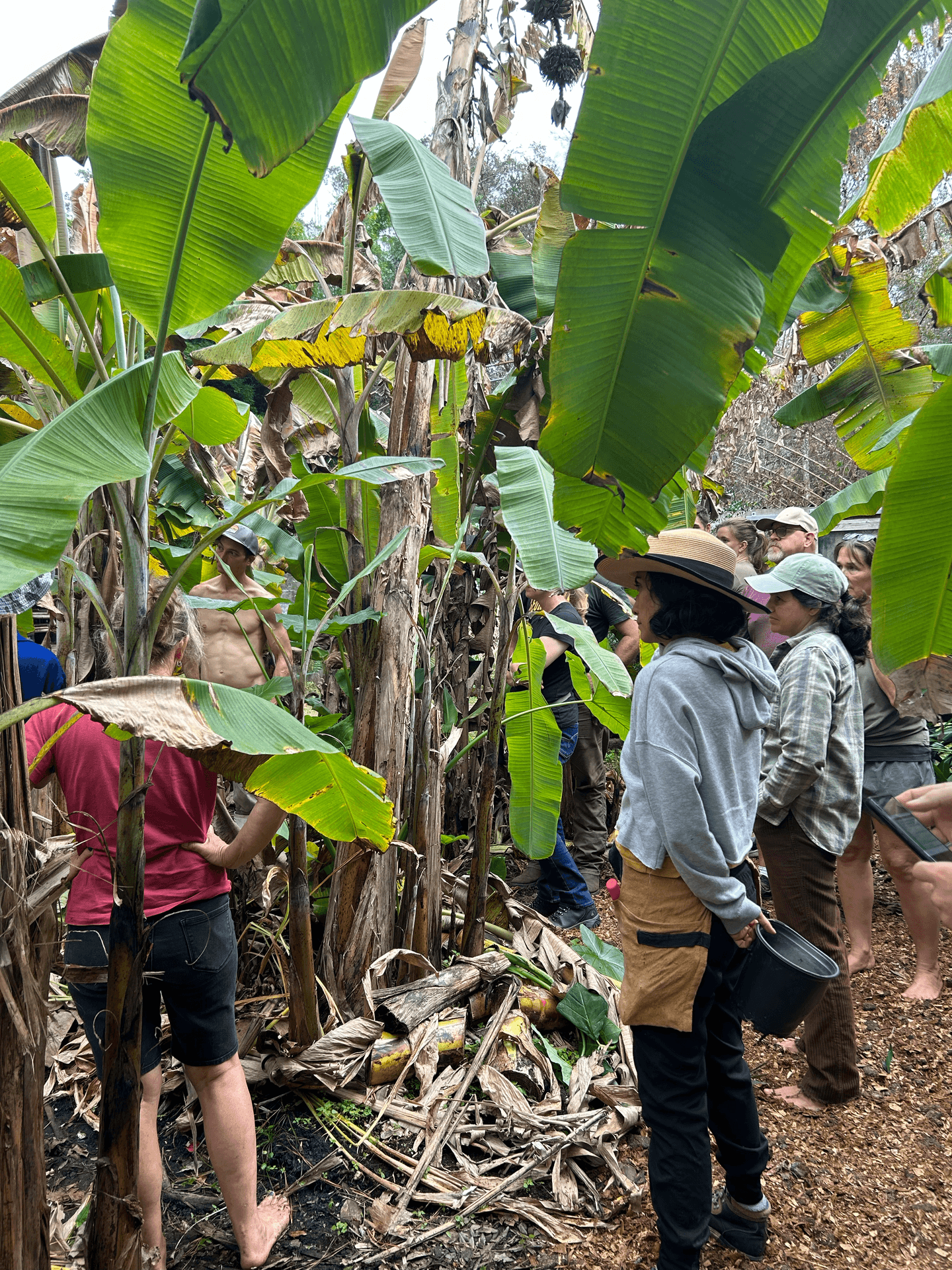 People gathered among banana plants, from the existing Guild website